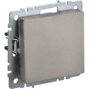 Выключатель 1-клавишный IEK BRITE 10А ВС10-1-0-БрШ шампань - BR-V10-0-10-K37 Выключатель 1-клавишный IEK BRITE 10А ВС10-1-0-БрШ шампань - BR-V10-0-10-K37