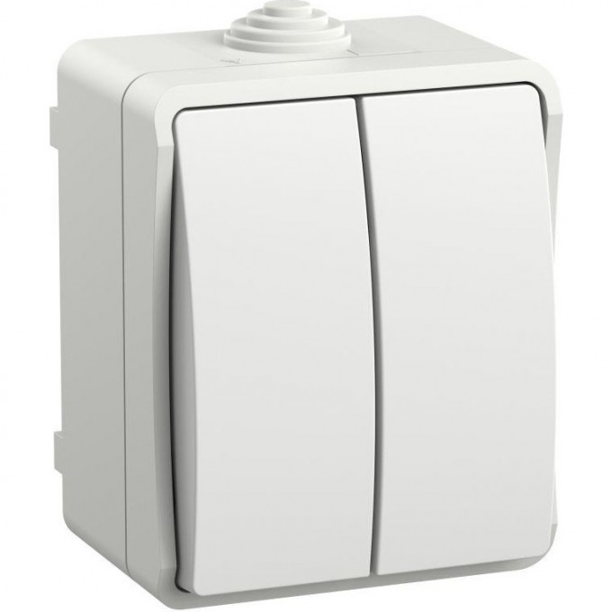 Выключатель 2-кл. IEK ОП Форс IP54 ВС20-2-0-ФБ EVS20-K01-10-54-DC